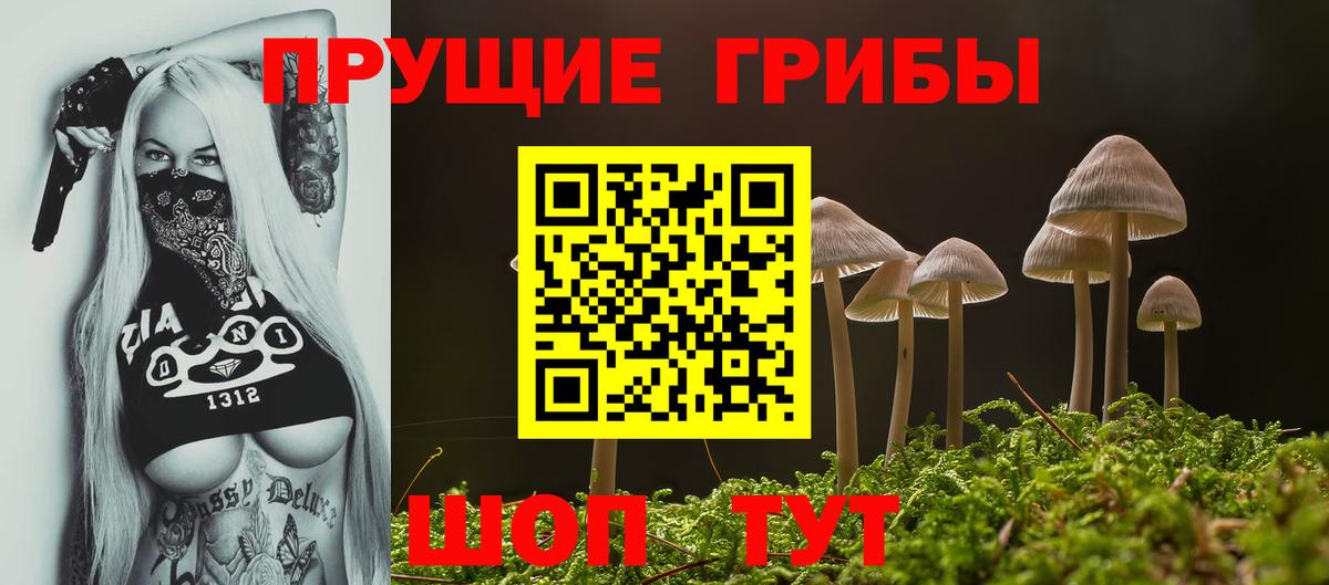 Галлюциногенные грибы ЛСД Великие Луки